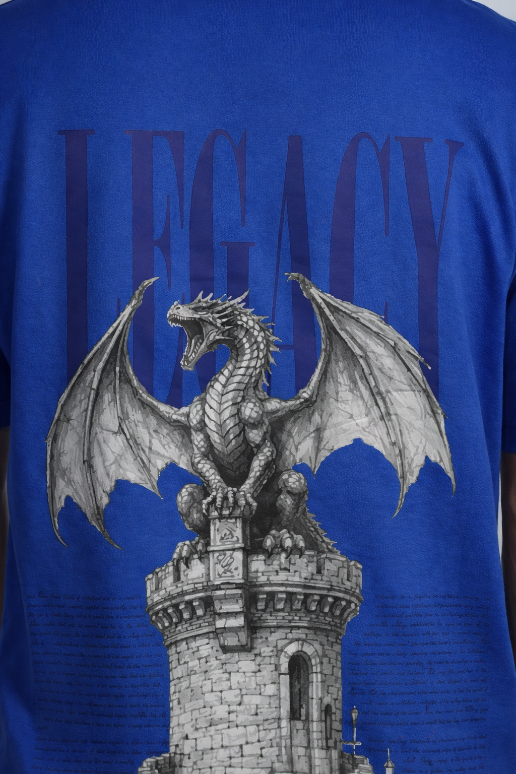 Dragon Statue – Oversized Tee